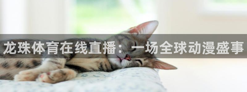 龙珠体育在线直播：一场全球动漫盛事
