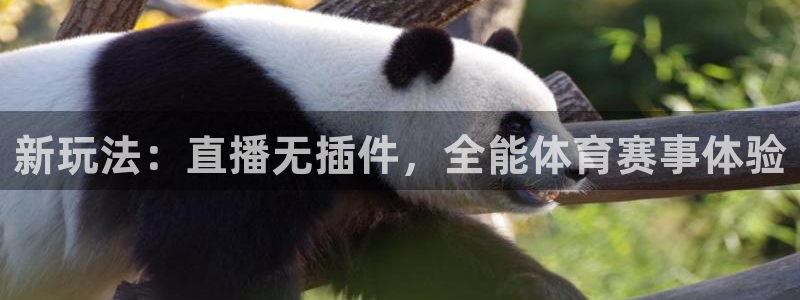 新玩法：直播无插件，全能体育赛事体验