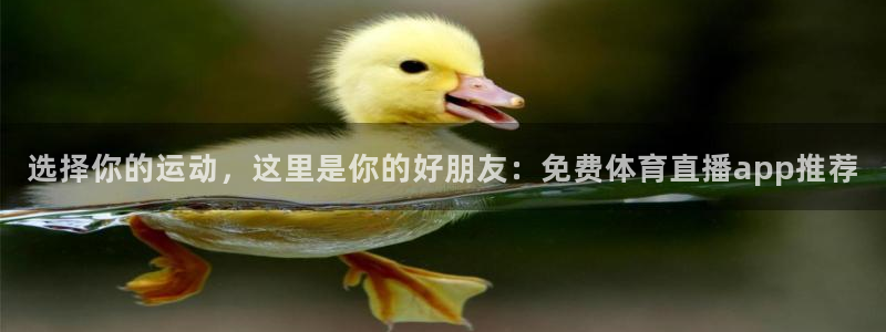 选择你的运动，这里是你的好朋友：免费体育直播app推荐
