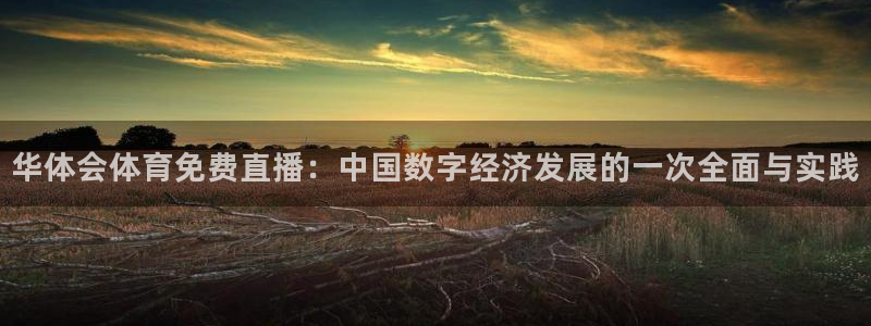 华体会体育免费直播：中国数字经济发展的一次全面与实践